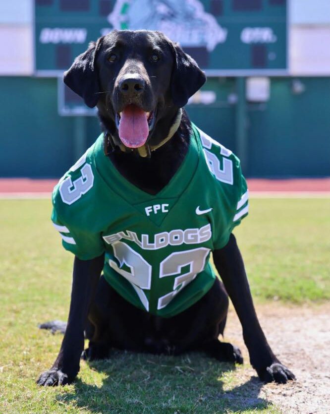 school safety canine in jersey on field - donate to k9 fund